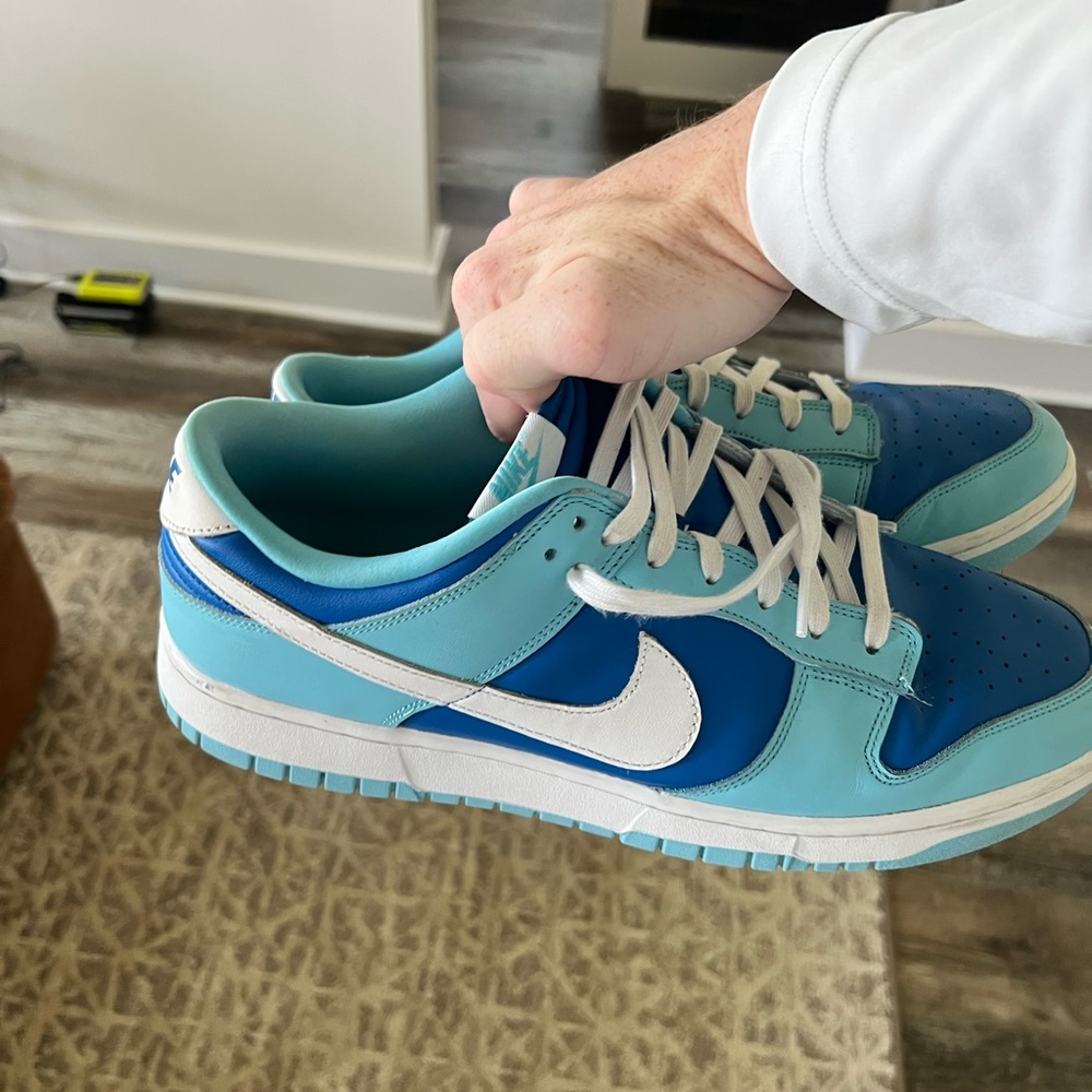 Nike Dunk low Argon